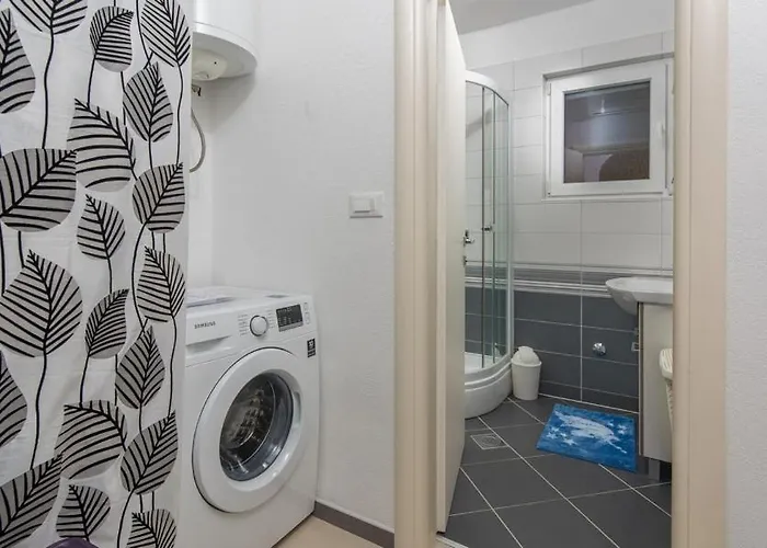 Andrea Novigrad Istria