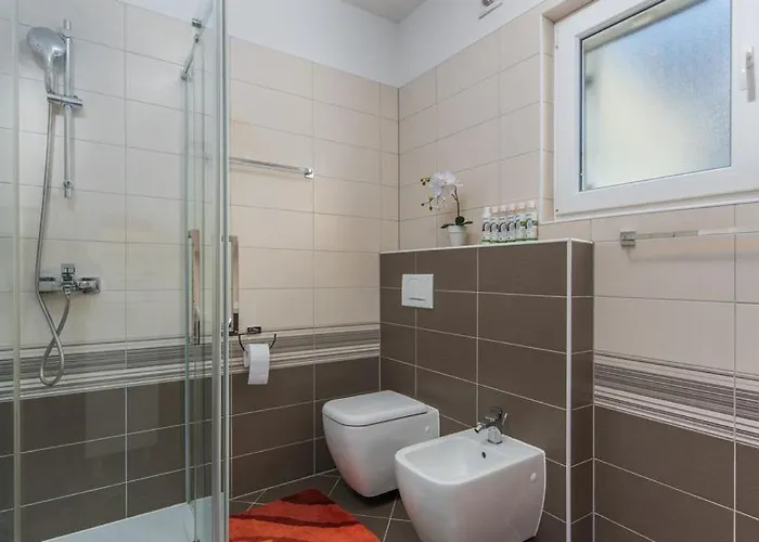 Andrea * Novigrad Istria